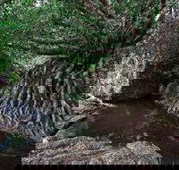 Misty Mountains Wilderness Tracks - Accommodation China