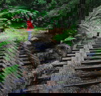 Montezuma Falls - Accommodation Guide