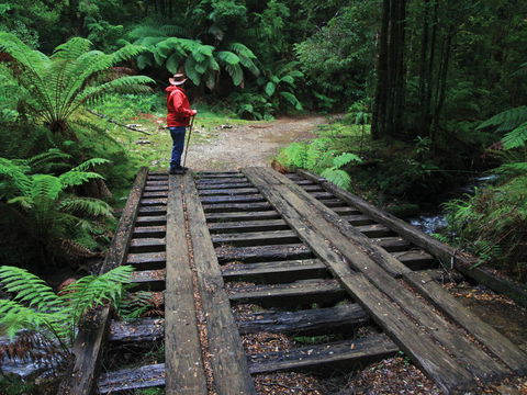 Montezuma Falls - Accommodation Guide 0