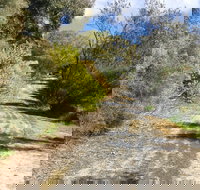 Naracoorte North Nature Park - Accommodation Guide