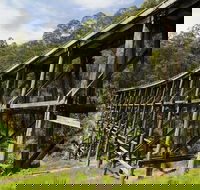 Noojee Trestle Bridge - Accommodation Guide