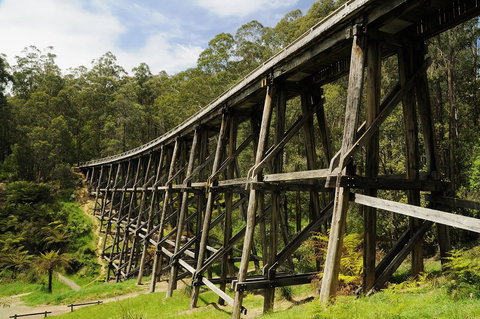 Noojee Trestle Bridge - Accommodation Asia 0