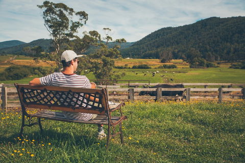 North - North East - Accommodation Guide 0