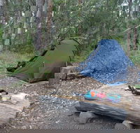 Northbrook Mountain Bush Camp - Accommodation Guide