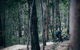 Old Tambo Downhill Mountain Bike Track - thumb 0