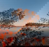 Peery Lake - Accommodation Guide