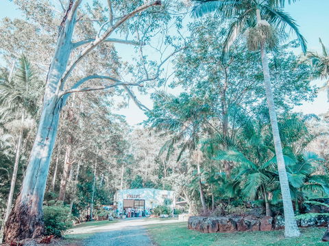 Phillips Gallery - Accommodation Guide 0