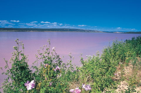 Port Gregory - Accommodation Guide 0