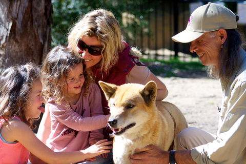 Potoroo Palace Native Animal Sanctuary - Accommodation Guide 0