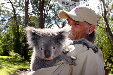 Potoroo Palace Native Animal Sanctuary - Accommodation Guide 2