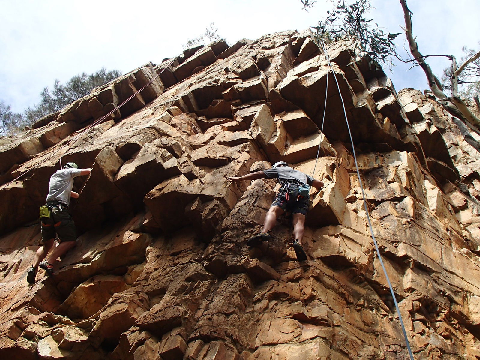 Woodforde SA Accommodation Guide
