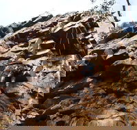 Rock Climbing in Morialta - Accommodation Guide