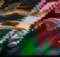 Seahorse World - Accommodation Asia