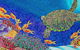 Sea Silks Gallery - thumb 0