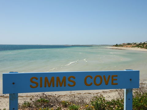 Simms Cove Lookout And Beach, Moonta Bay - Accommodation China 0