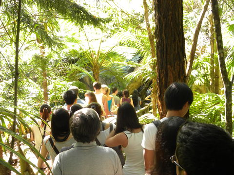 Tamborine Mountain Glow Worm Tours - Accommodation Asia 1