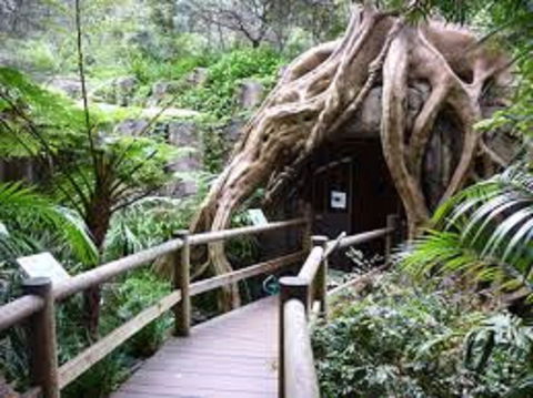 Tamborine Mountain Glow Worm Tours - Accommodation Asia 2
