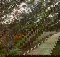 The Briars Park Walking Trails - Accommodation Asia