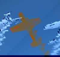 Warbird Aerial Adventures - Accommodation China