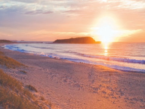 Warilla Beach: Shellharbour - Accommodation Guide 0