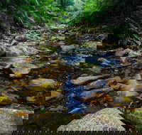 Willi Willi National Park - Accommodation Guide