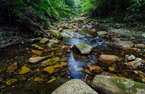 Willi Willi National Park - Accommodation China 0