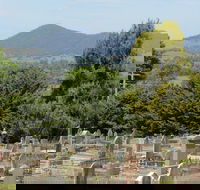 Yackandandah Cemetery - Accommodation Asia