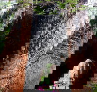Ancient Empire Walk Valley of the Giants - Accommodation Guide