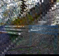 Arthurs Seat to Kings Falls Walk - Accommodation Guide