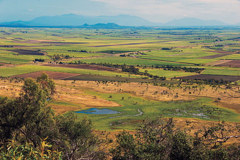 Ayr - Accommodation Asia 2