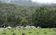 Bendeela Camping And Picnic Area - thumb 0