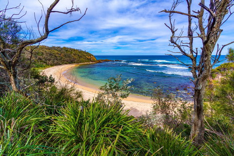 Bendalong (Inyadda) Beach - Accommodation Guide 0
