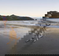 Cape Hillsborough National Park - Accommodation Guide