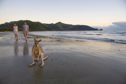 Cape Hillsborough National Park - Accommodation Guide 0