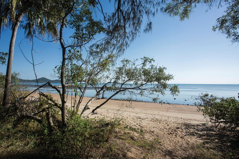 Cape Hillsborough National Park - Accommodation Guide 1