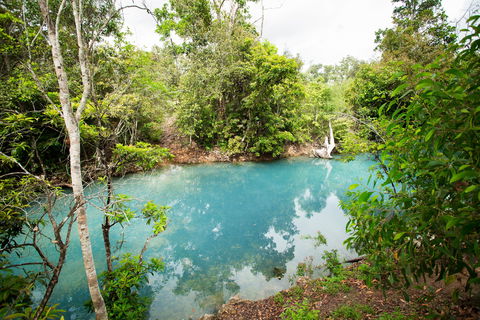 Cardwell Spa Pool - Accommodation Asia 2