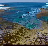 Cathedral Rocks Viewing Platform - Accommodation Guide