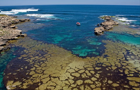 Cathedral Rocks Viewing Platform - Accommodation Guide 0