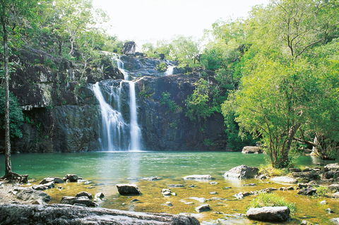 Cedar Creek Falls - Accommodation Guide 0