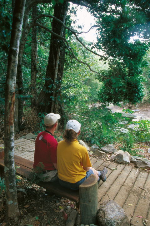 Cedar Creek Falls - Accommodation Guide 1