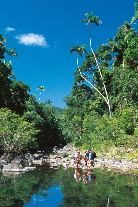Cedar Creek Falls - Accommodation Guide 2