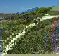 Conjola Beach Picnic Area - Accommodation Asia