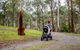 Currawong Bush Park - thumb 0