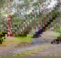 Currawong Bush Park