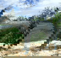 Dingo Statue - Accommodation China