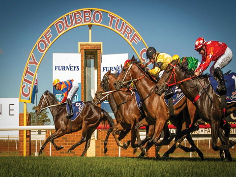 Dubbo Turf Club - Open With Races But No Spectators - Accommodation Asia 0
