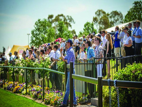Dubbo Turf Club - Open With Races But No Spectators - Accommodation Asia 1
