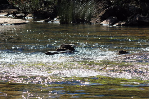 Frere's Crossing Bushwalk - Accommodation Asia 1