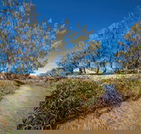 Freshwater Creek Track Byfield National Park - Accommodation China