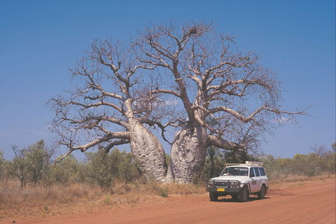 Gibb River Road - Accommodation Asia 2